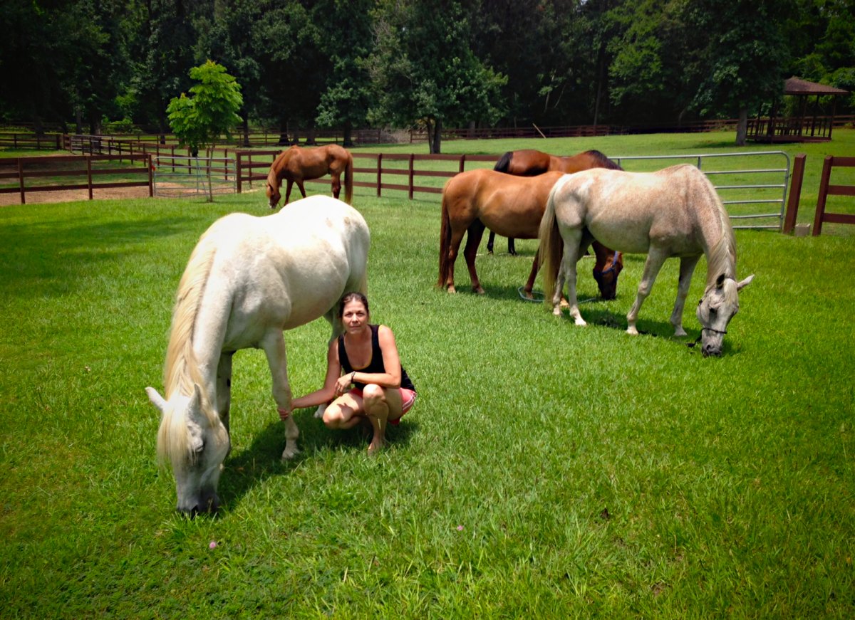 Фотосессия с лошадью в воде