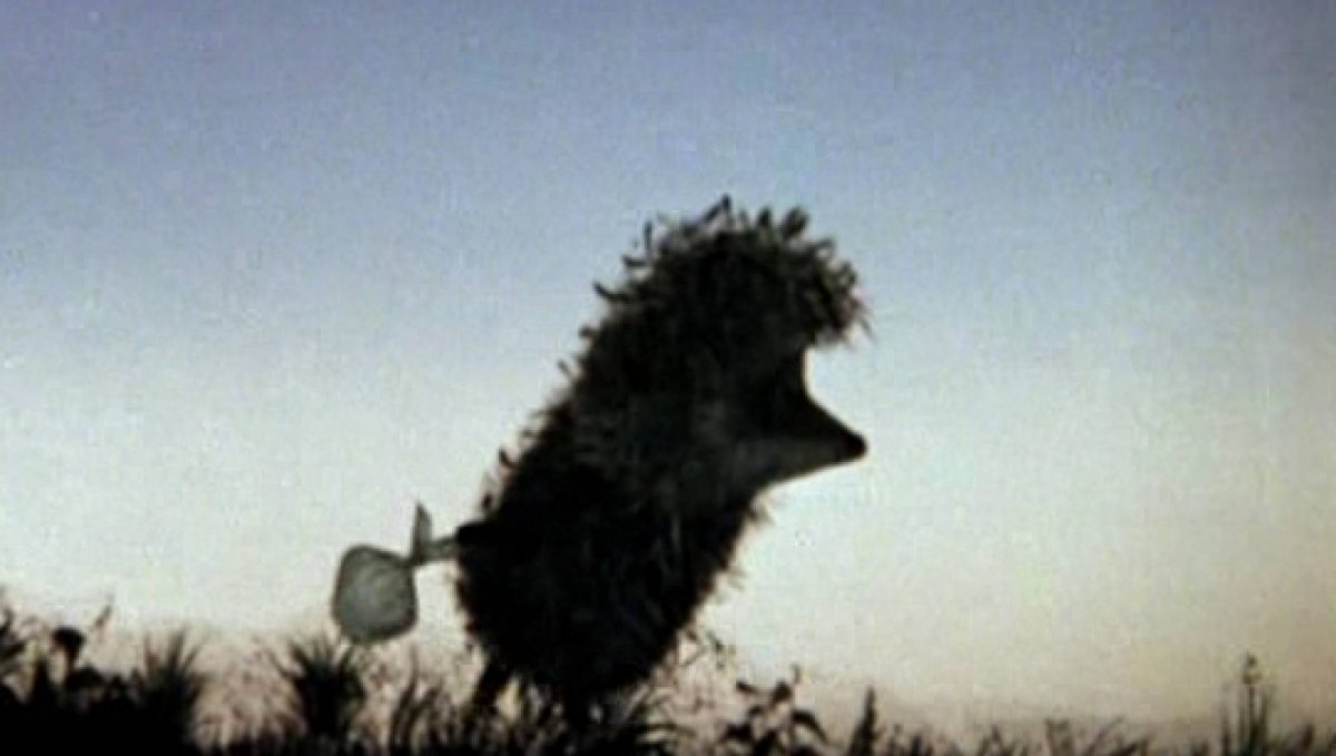 "Ёжик в тумане" (1975)
