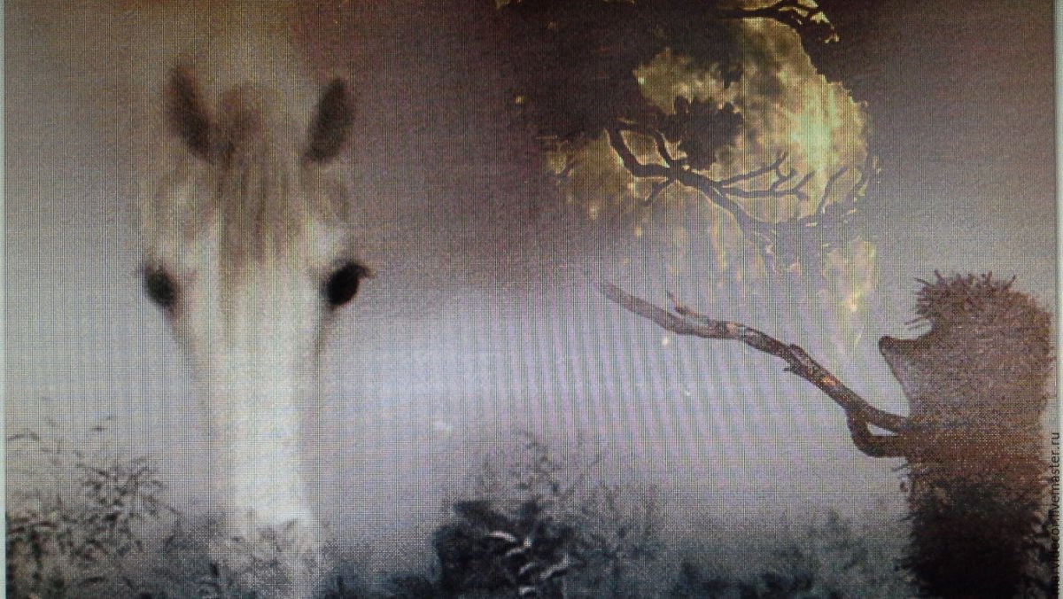 Лошадь в тумане