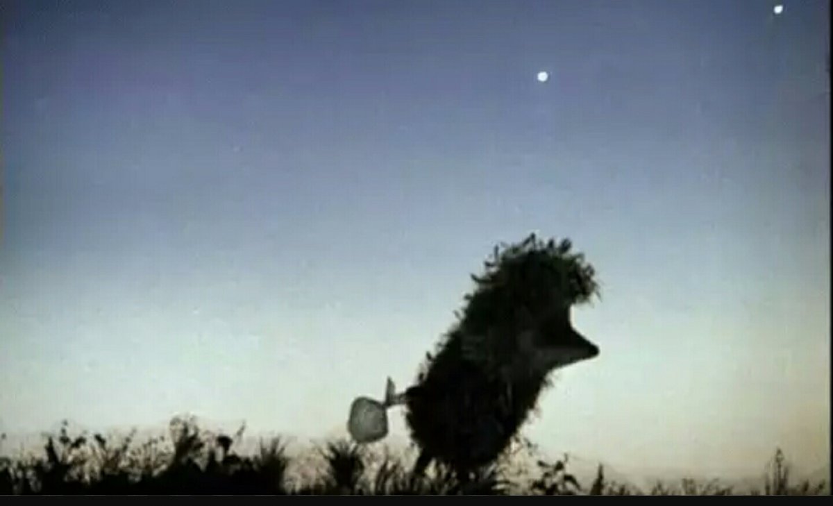 Дуб из ежика в тумане