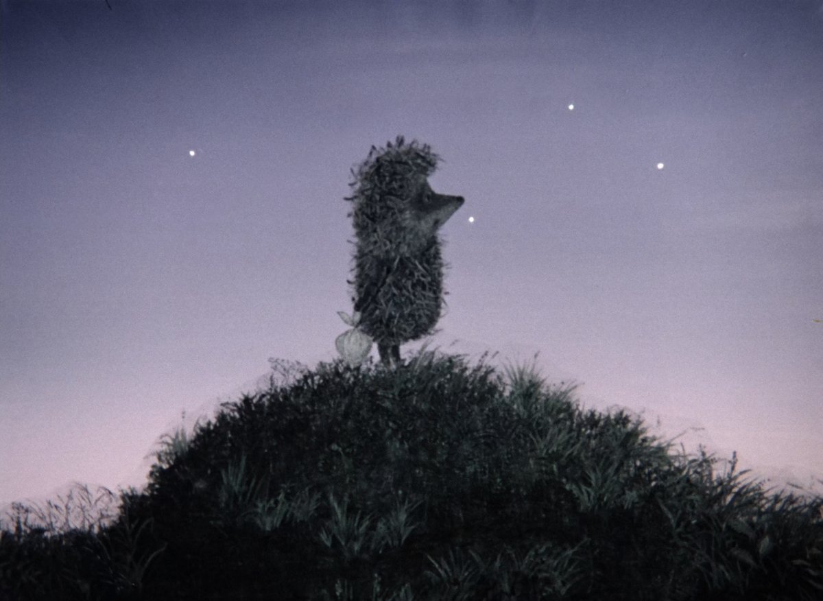 Ежик в тумане Филин