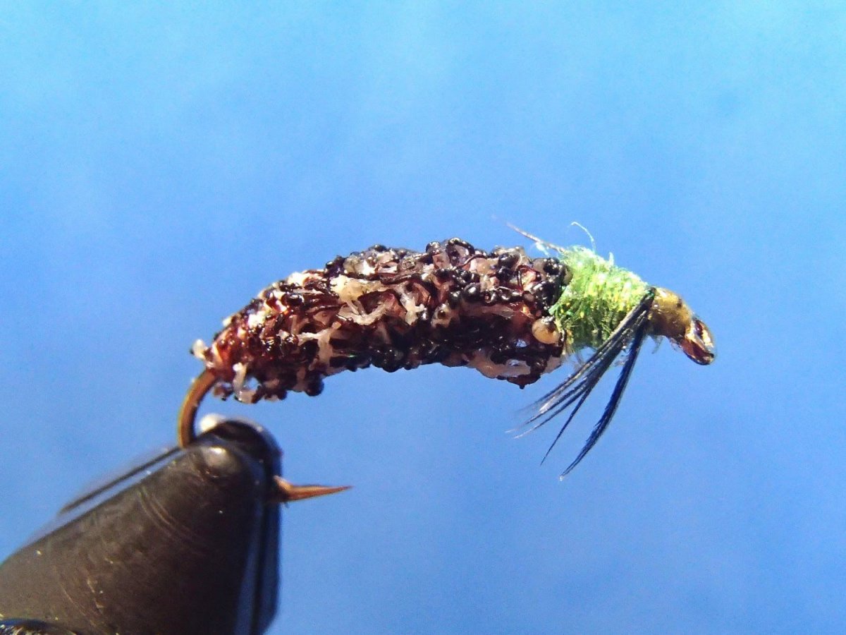 Муха личинка ручейника