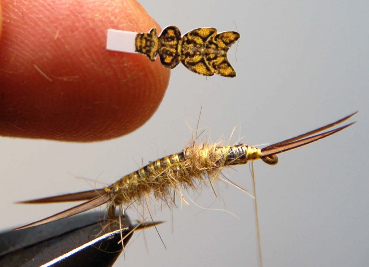 Личинки поденки веснянки и ручейника