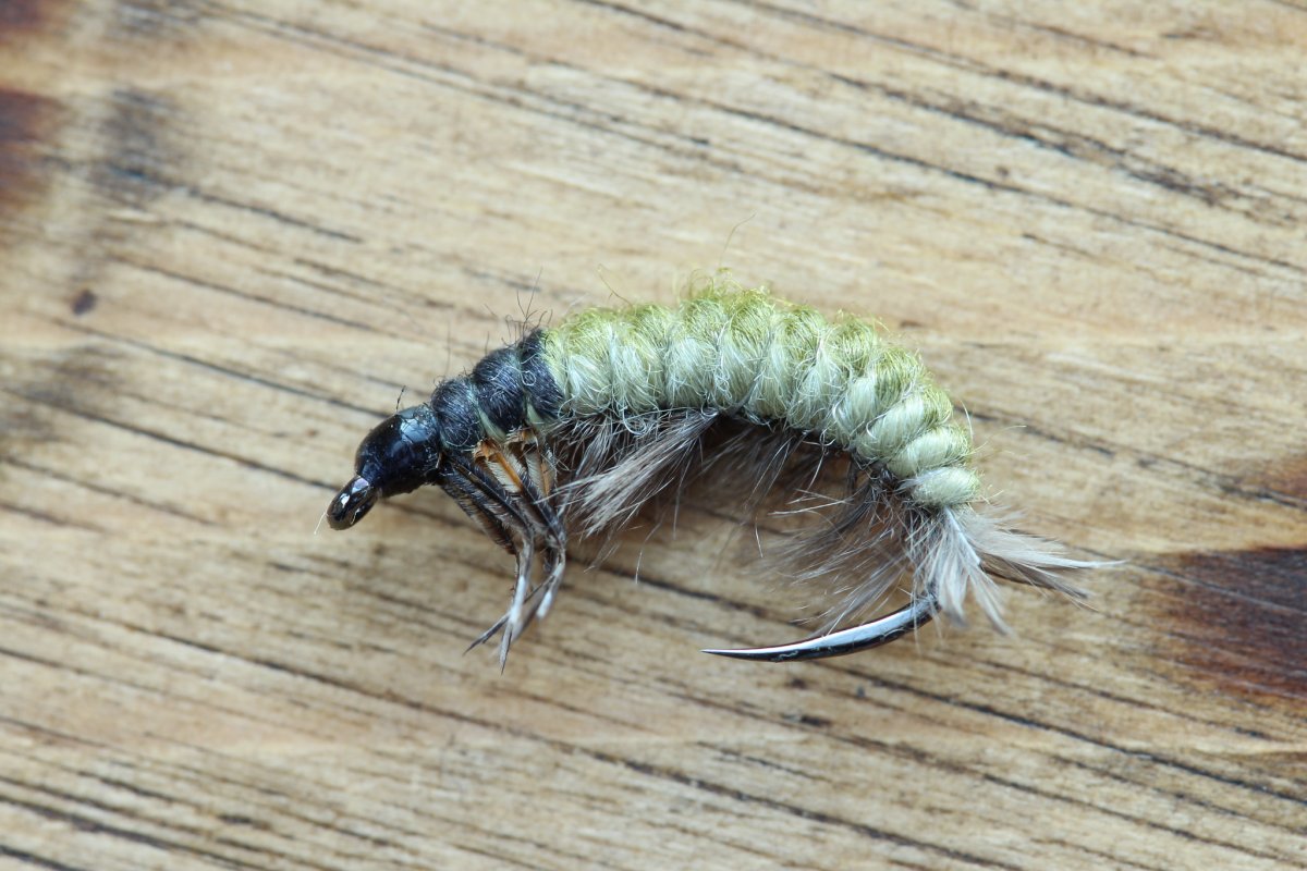 Stenopsyche Marmorata ручейник