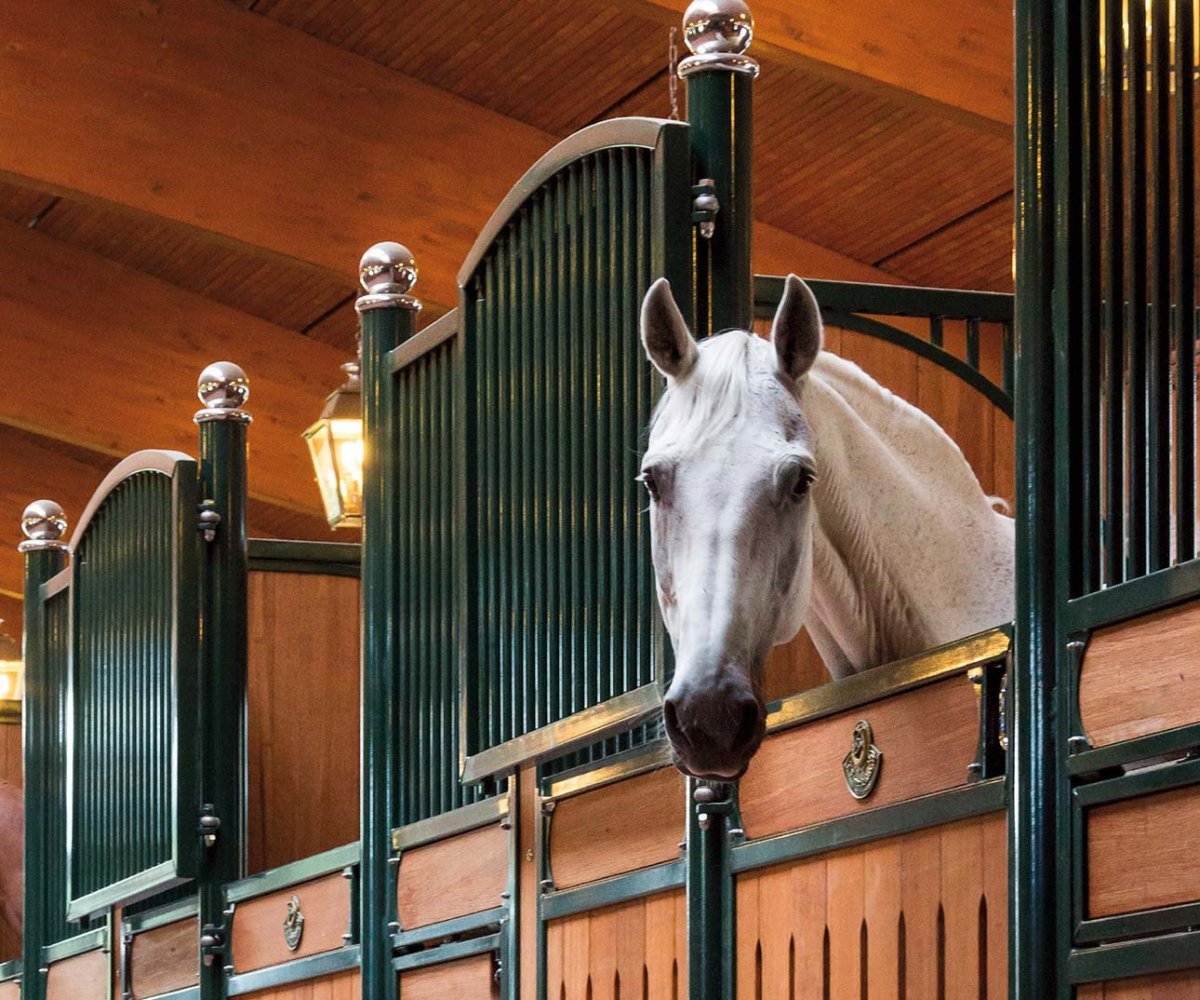 Красивые конюшни