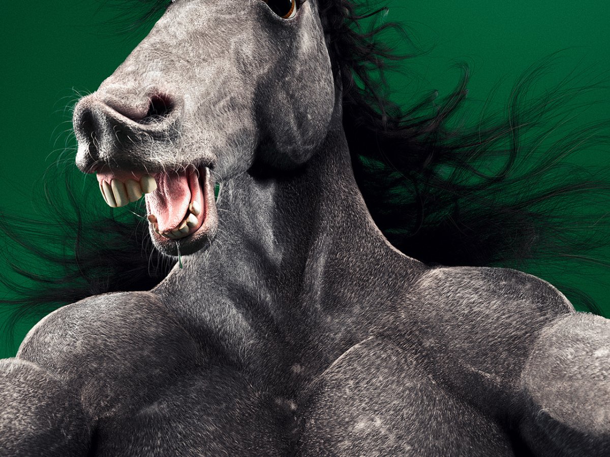 Лошадь качок