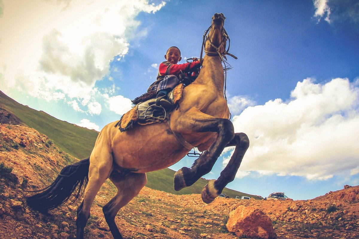 Джигит казах