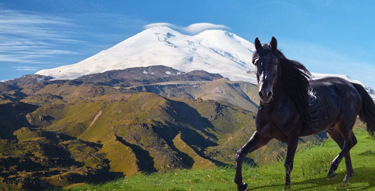 Карачаевские лошади на Эльбрусе