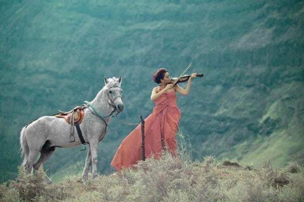 Красивая лошадь горы с девушкой