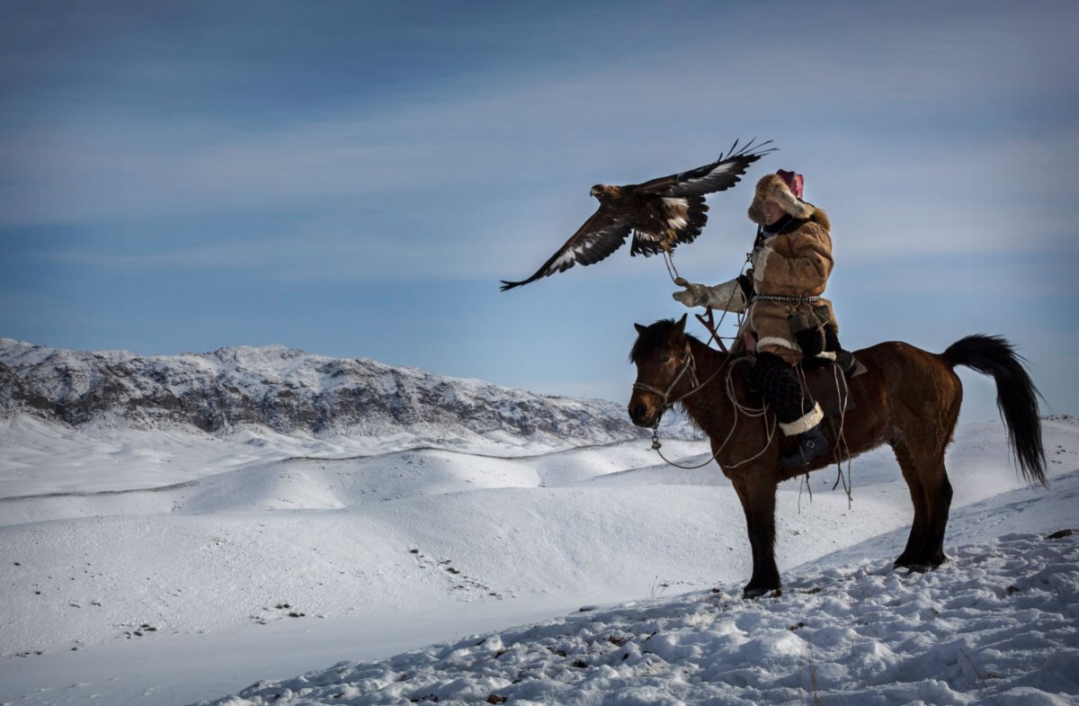 Соколиная охота Алтай
