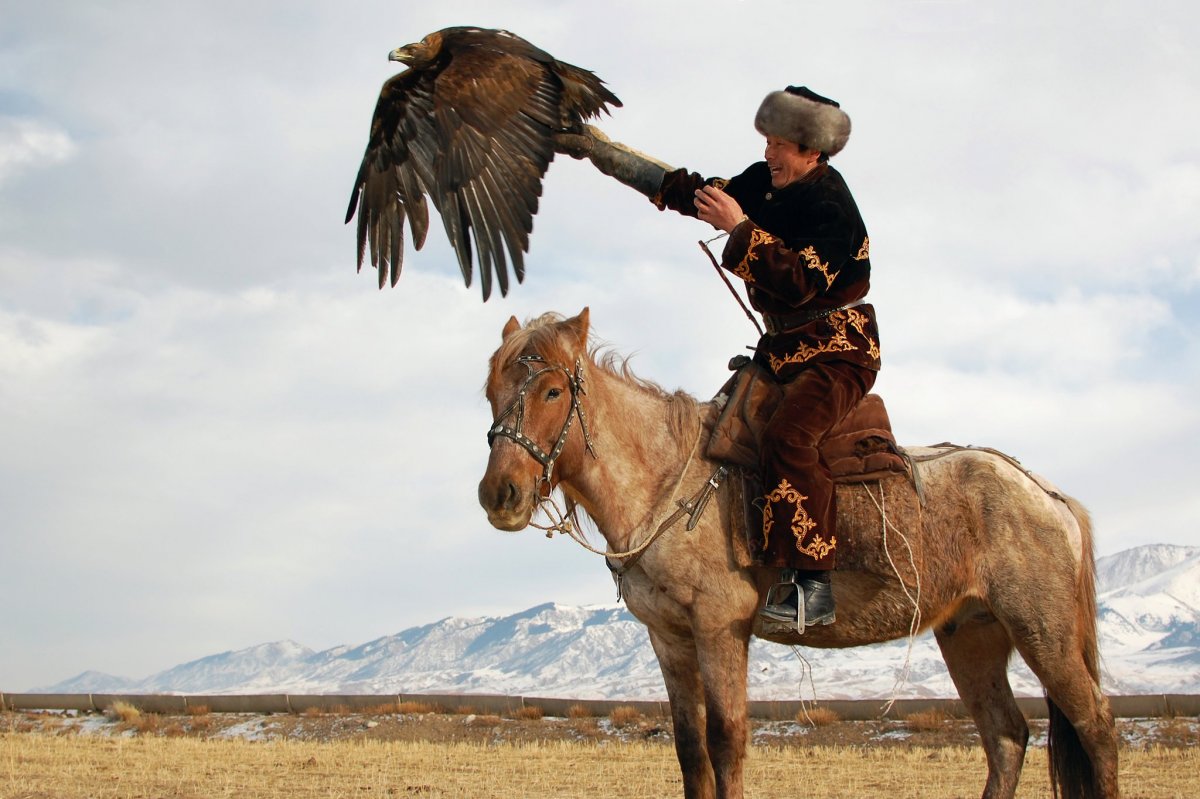 Казахский всадник