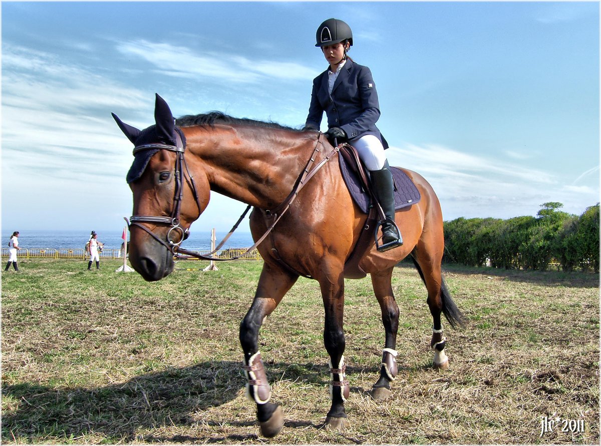 Конобеево верховая езда