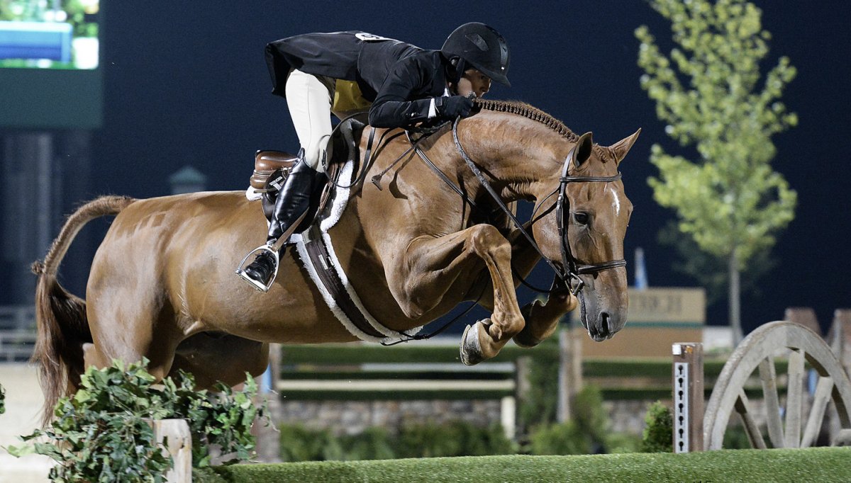 Эстетика конного спорта конкур