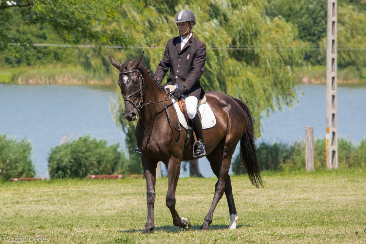 Сергей Никулин конный спорт