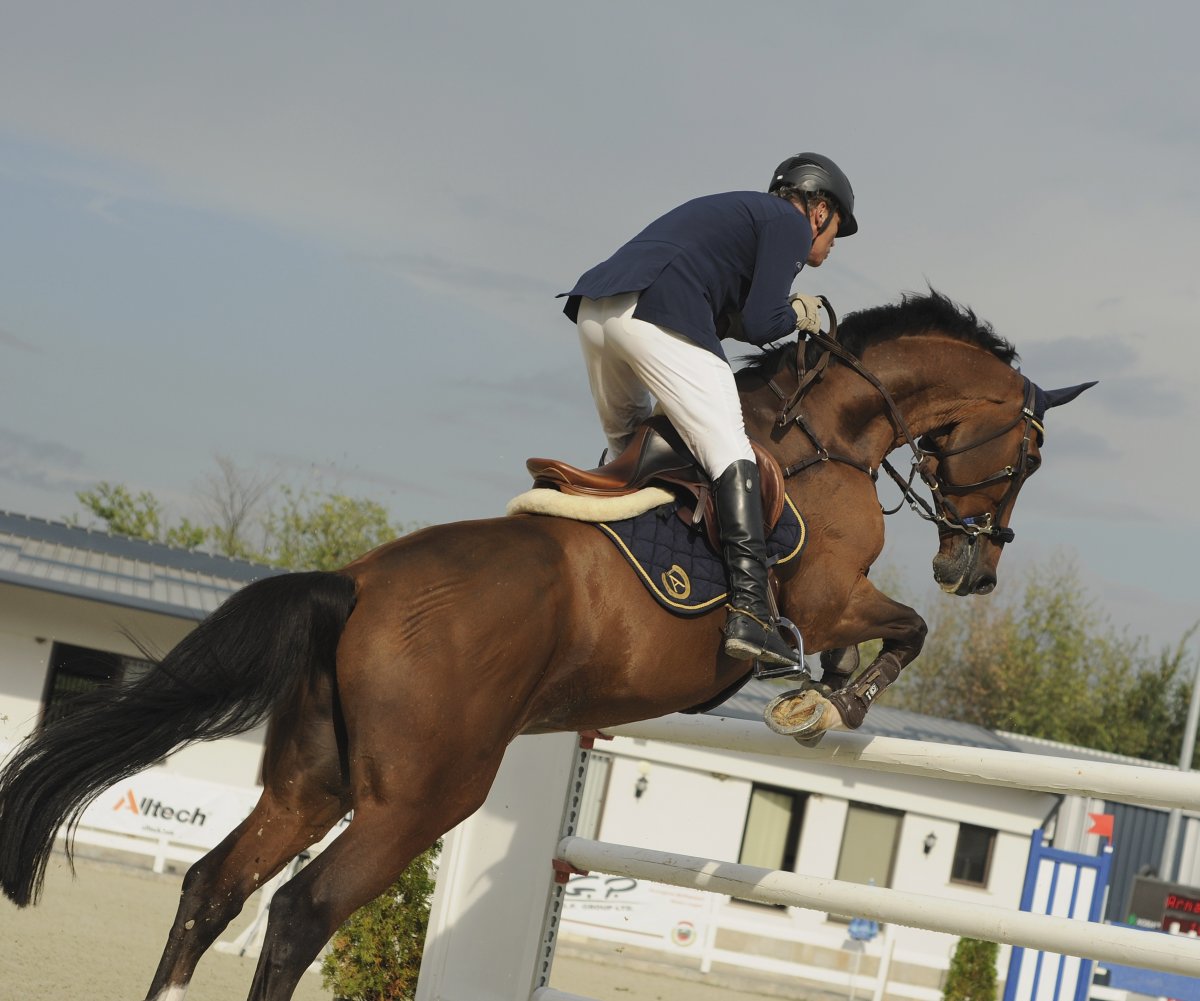 Жокей конный спорт