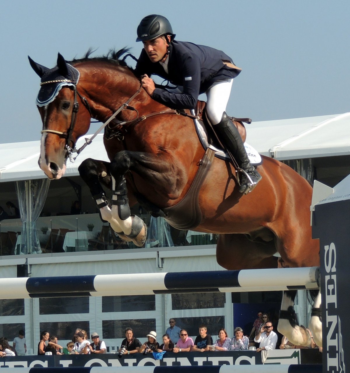 Лошадь в прыжке