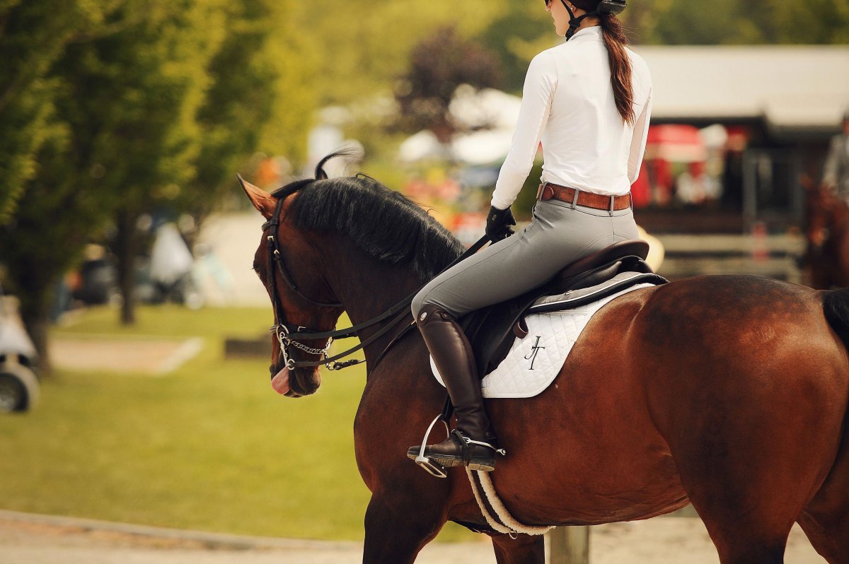 Езда верхом