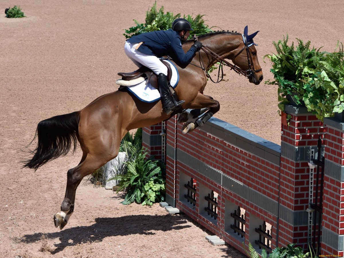 Жокей конный спорт