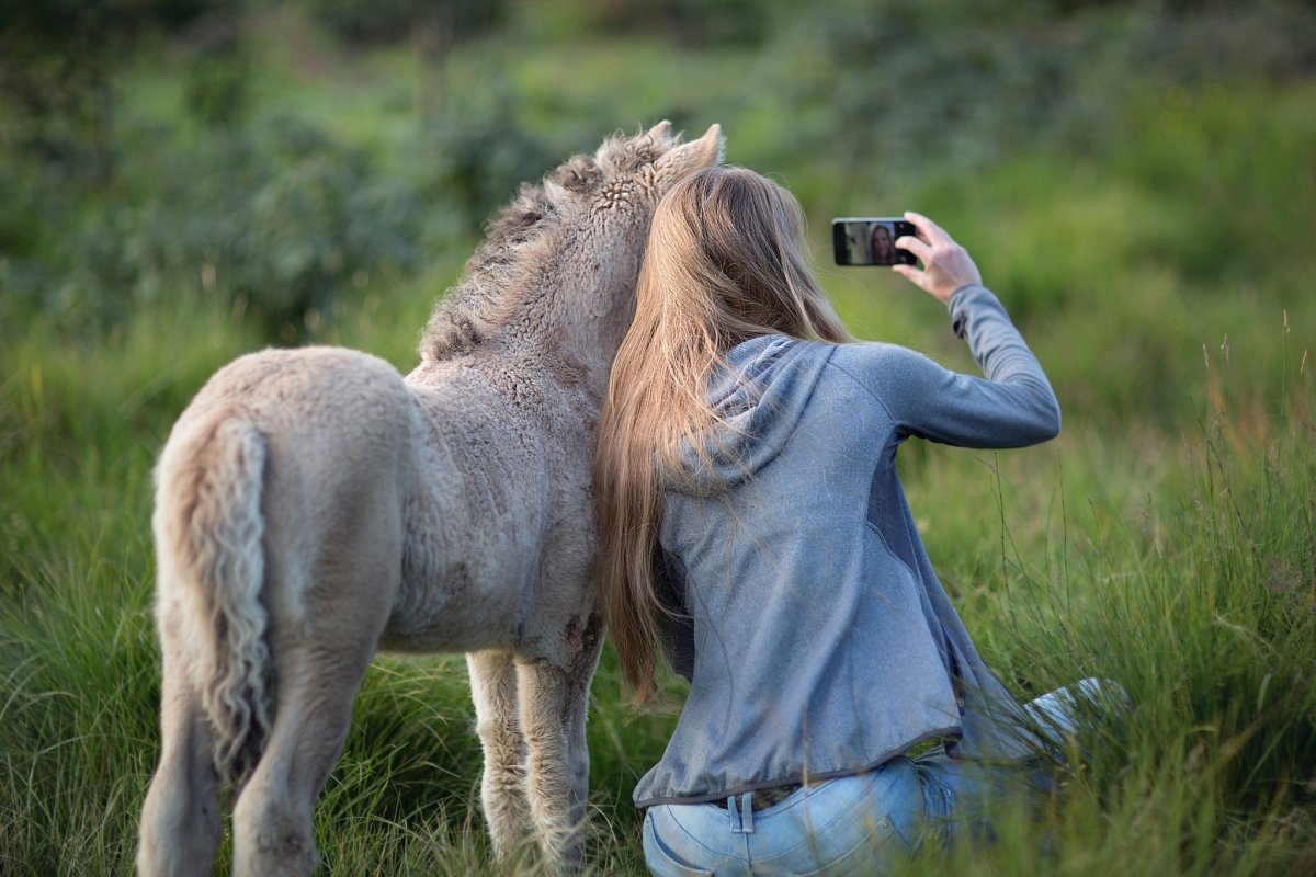 Фотограф вид сзади