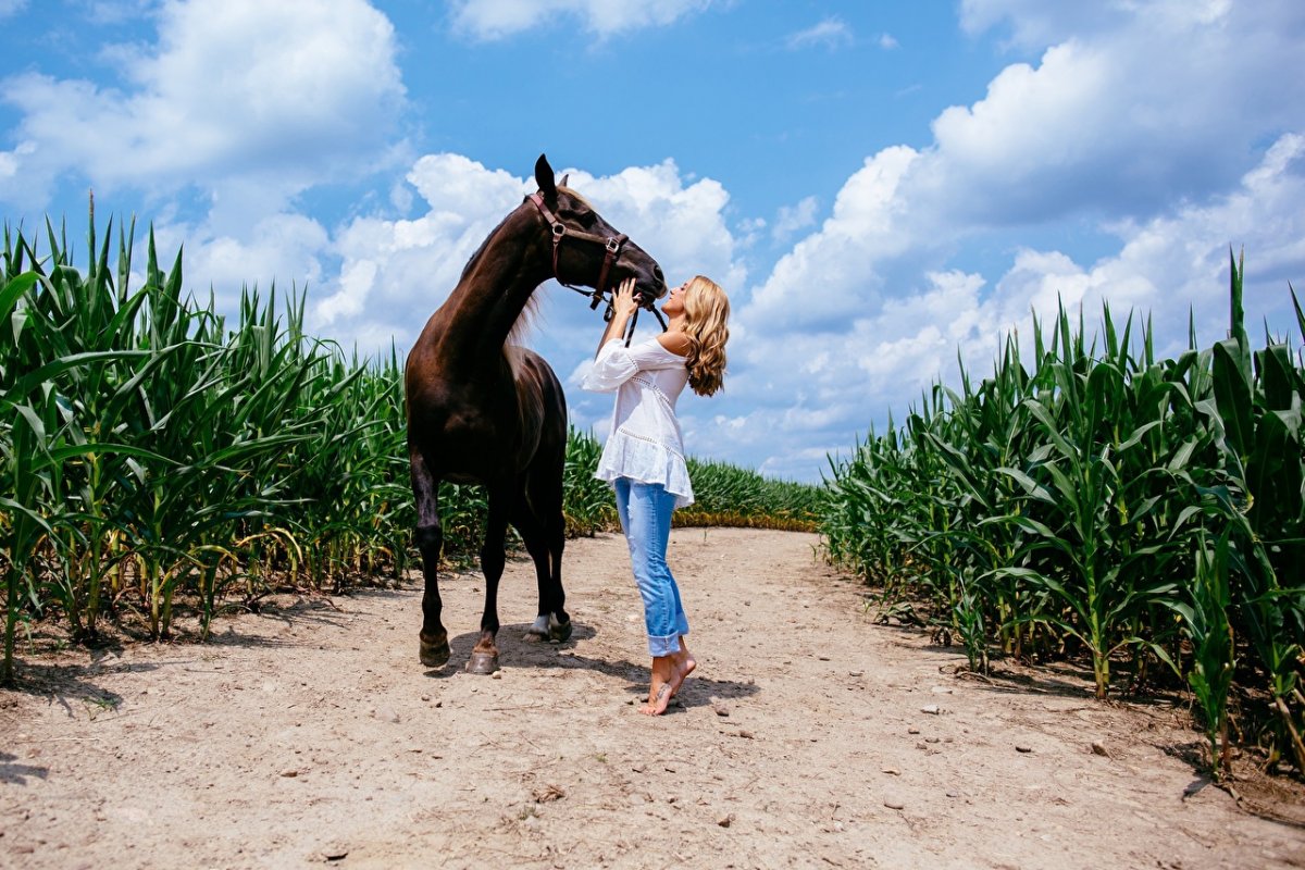 Девушка на лошади блондинка