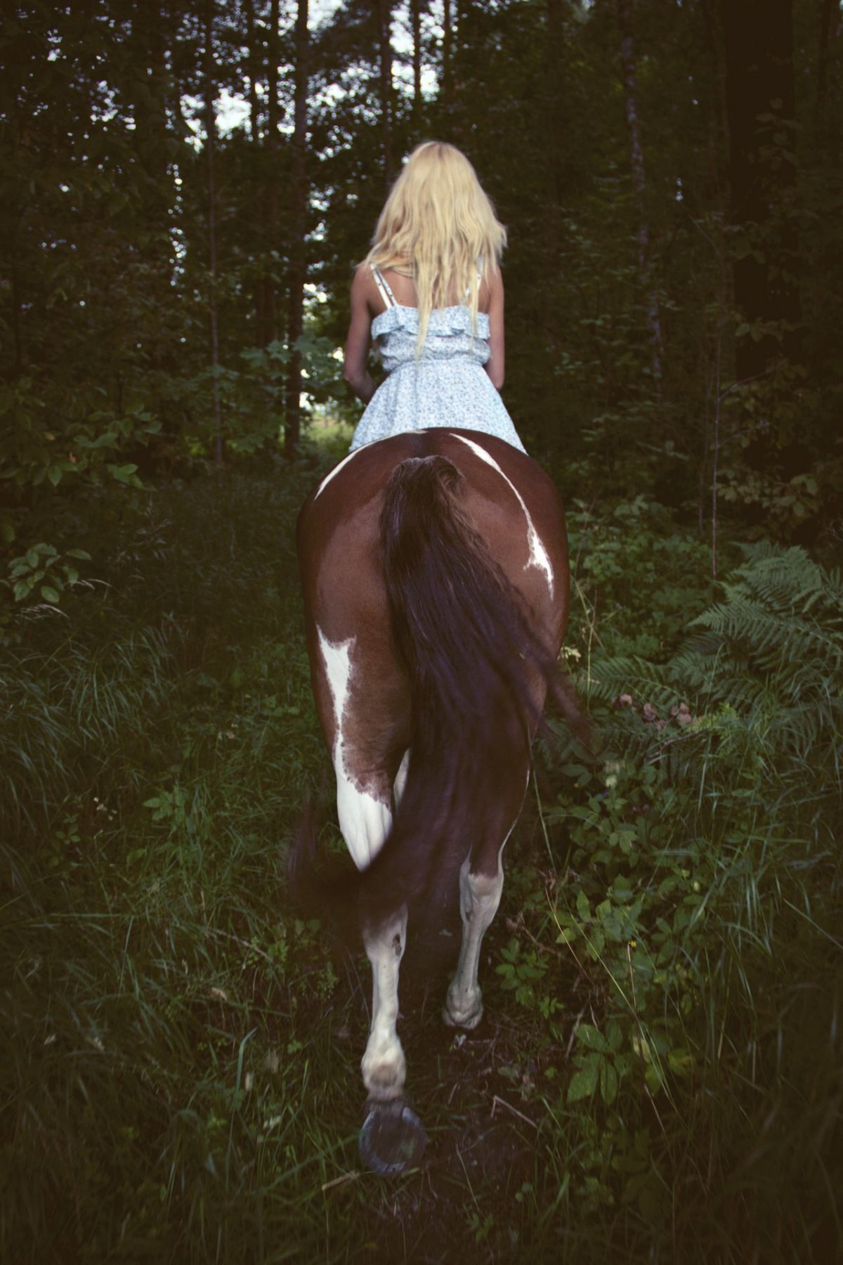 Девушка на коне вид сзади