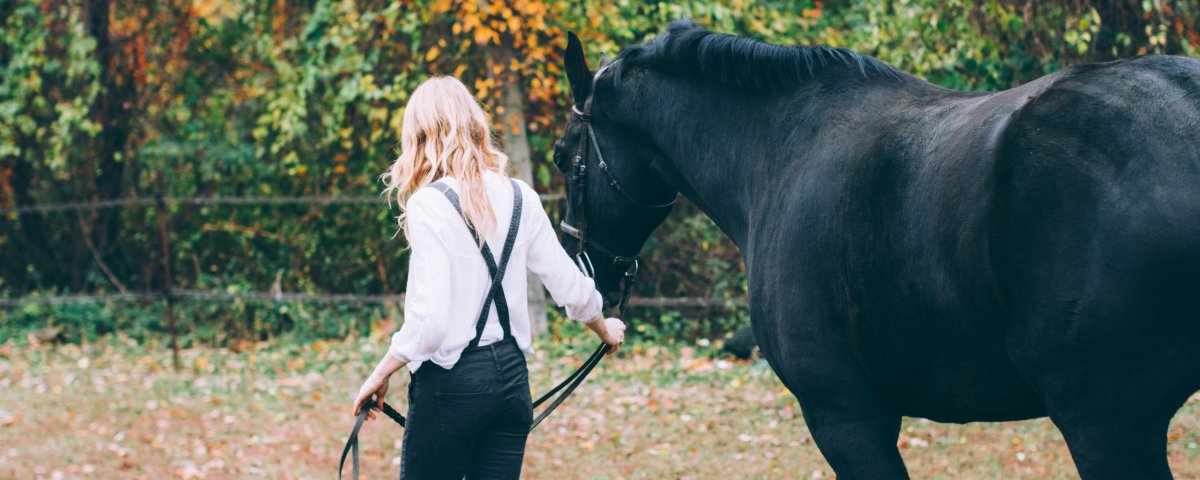 Блондинка с конем фото со спины PNG без фона