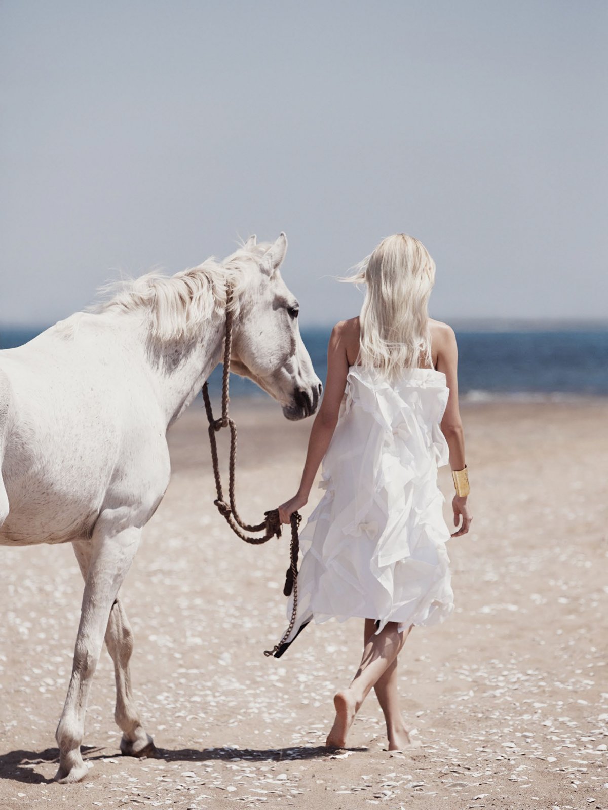 Девушка и белая лошадь