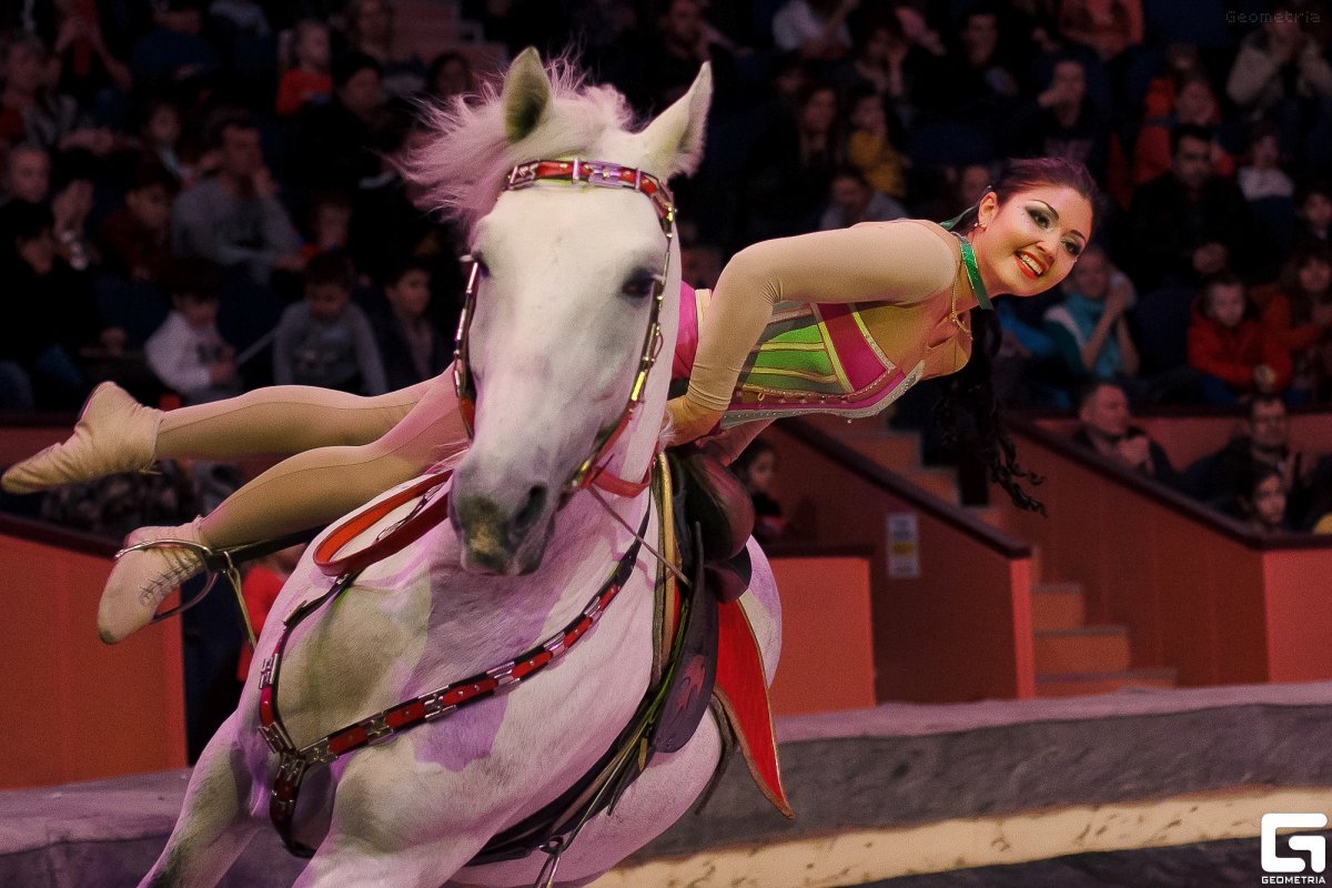 Женщины на лошадях в цирке