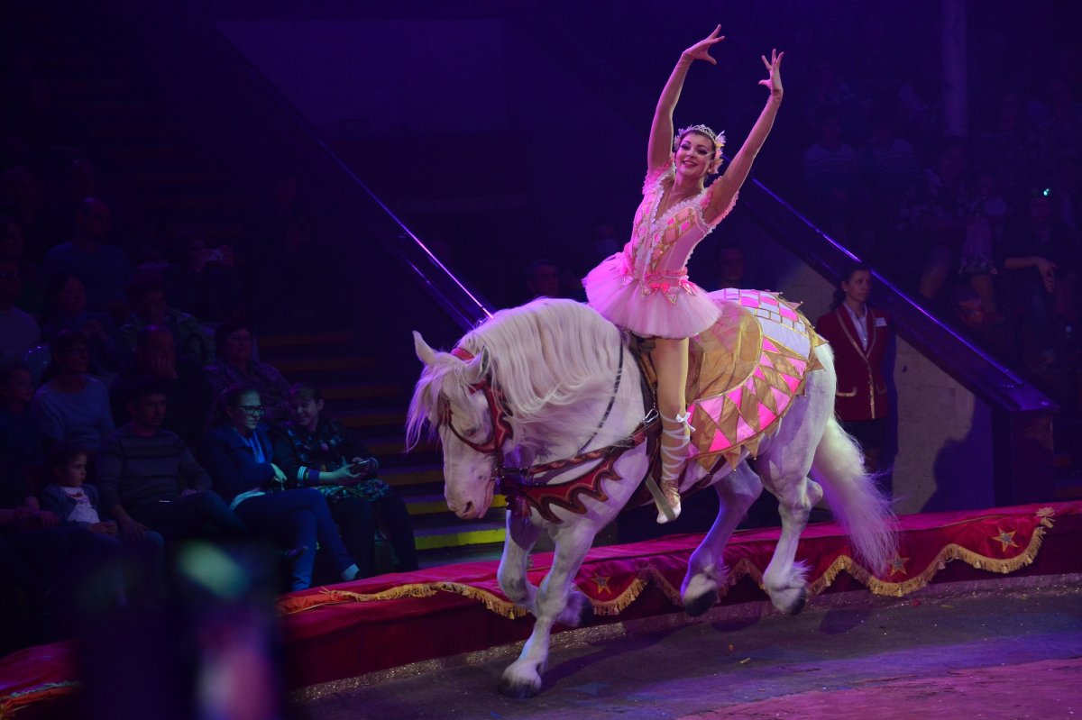 Принцесса цирка Венесуэла