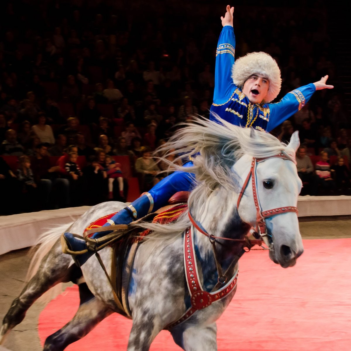 Алания джигиты цирк