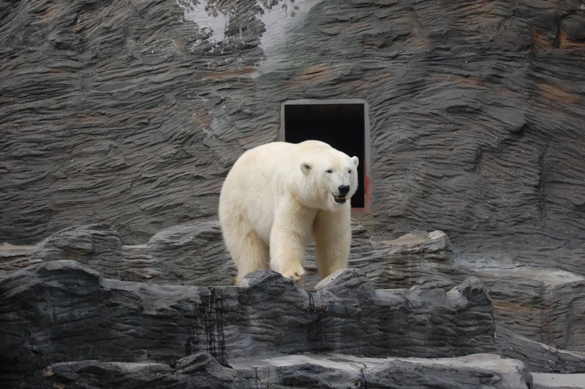 Бируанг язык