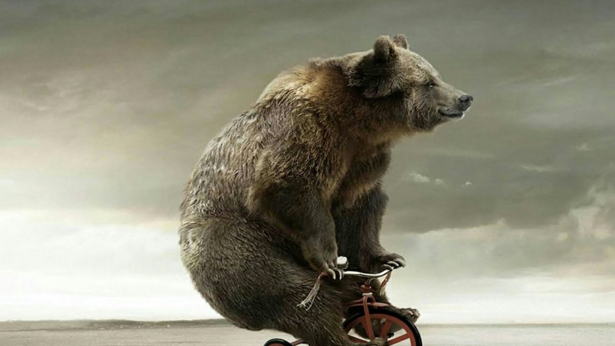 Медведь на мотоцикле