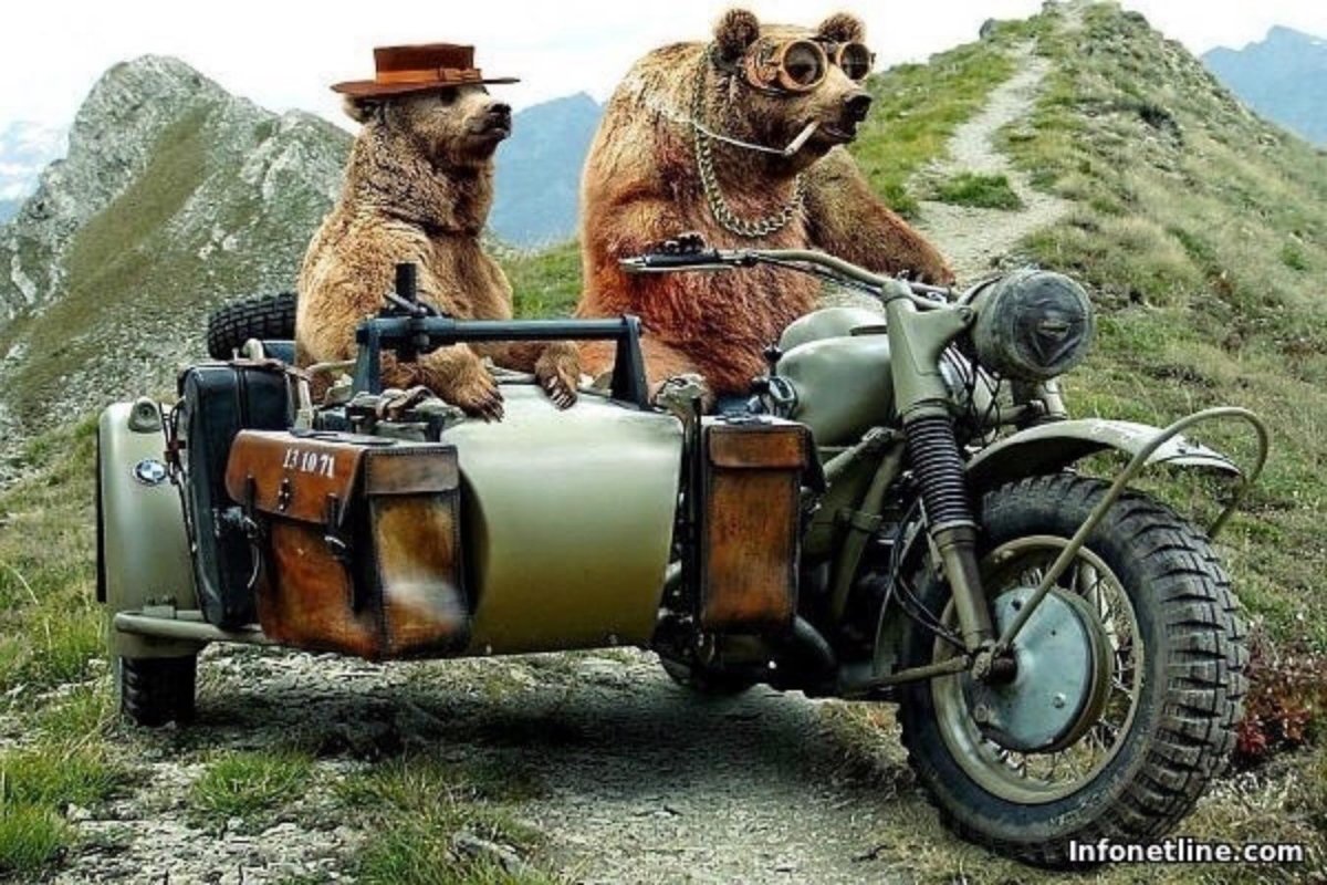 Мкдветь в коляски мотоцикла