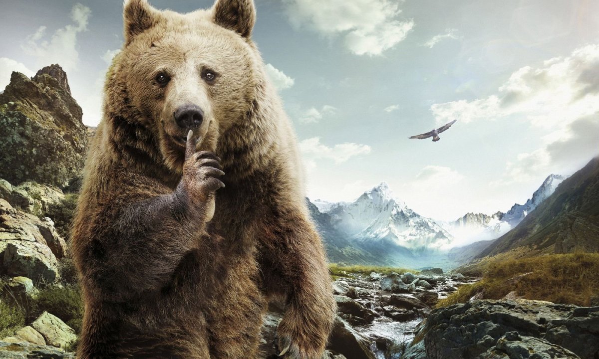 Креативный медведь