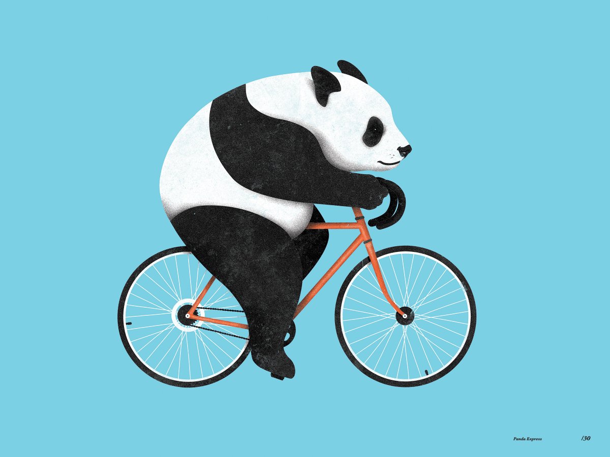 Панда на велосипеде