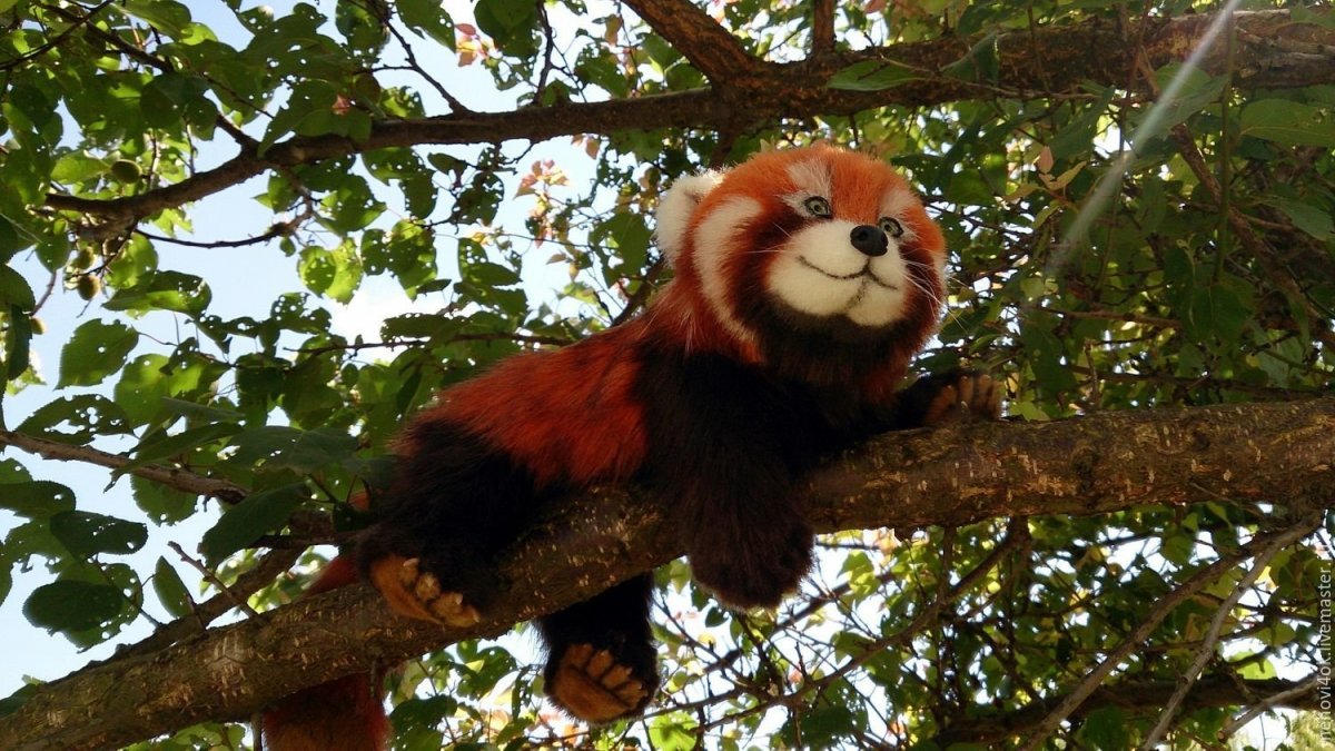 Красная бамбуковая Панда