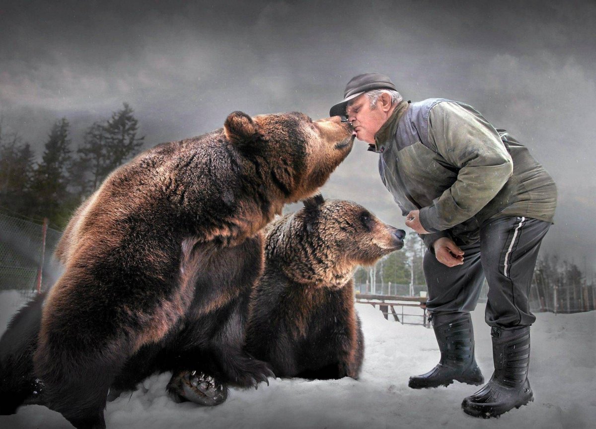 Русский медведь