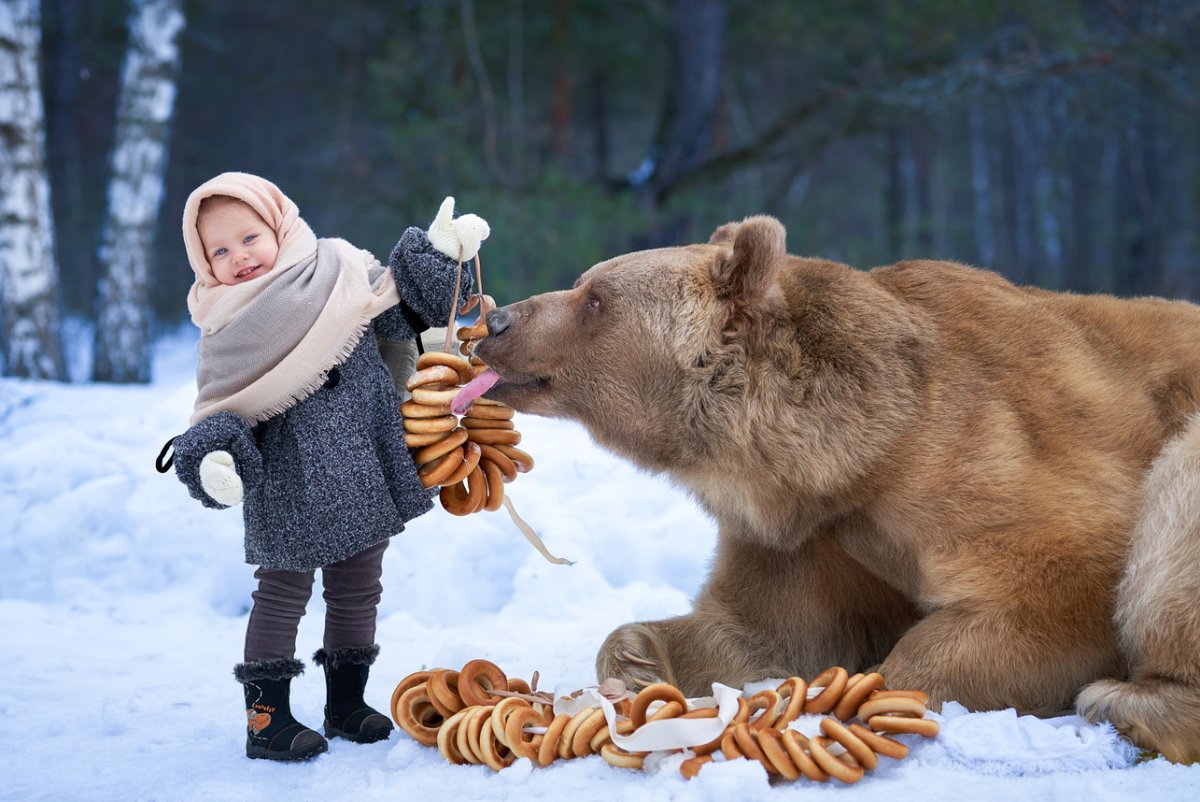 День объятий с медведем