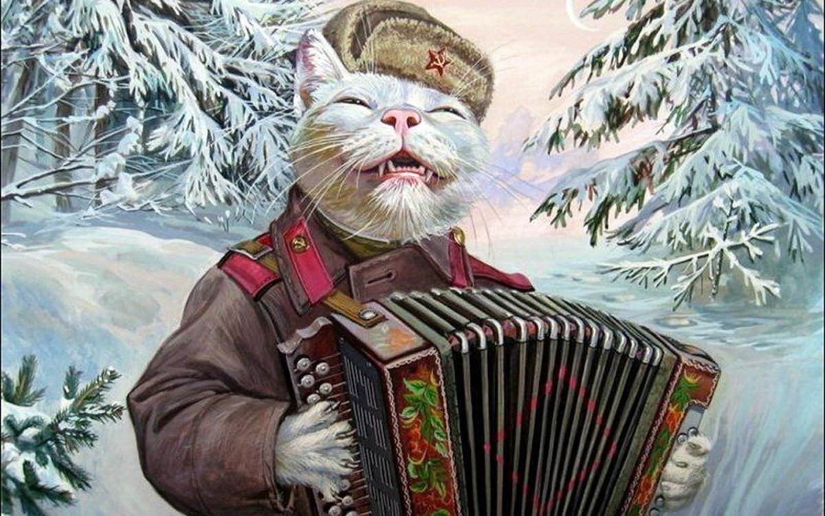 Человек верхом на медведе