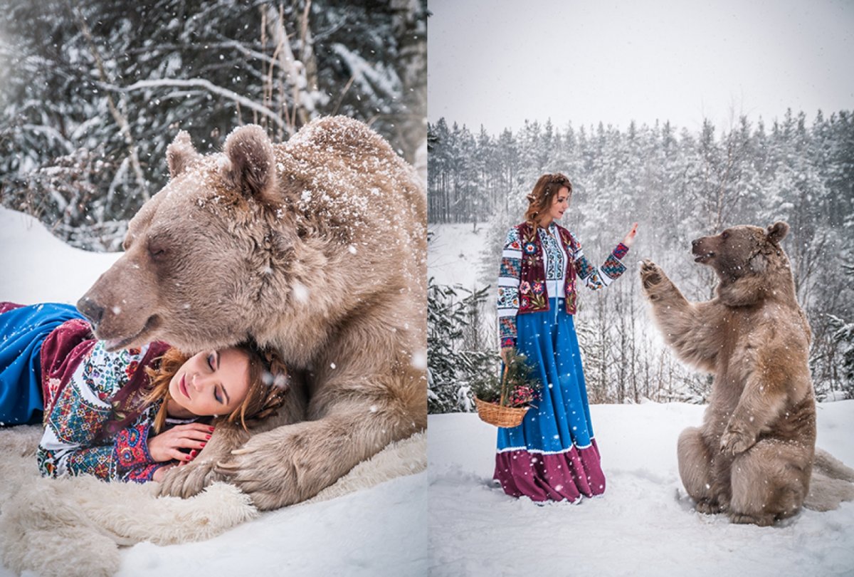 Удивленный медведь