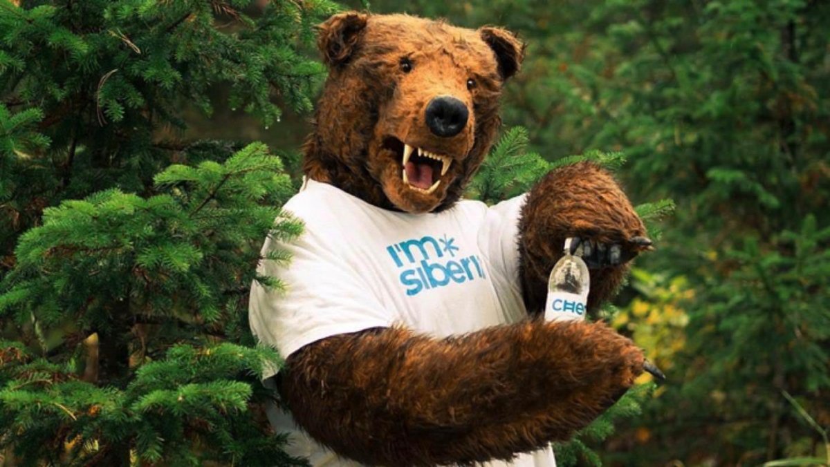 Медведь в городе