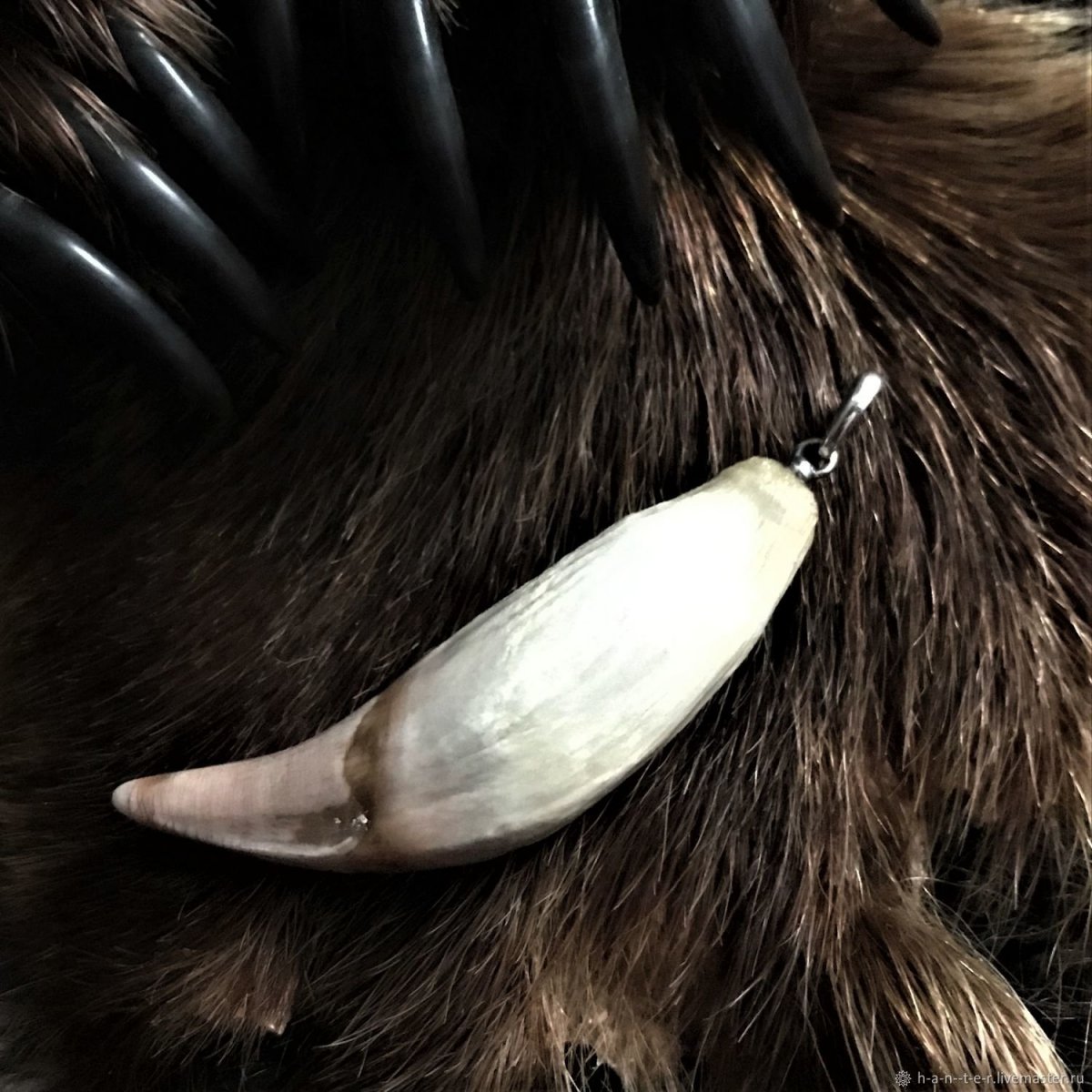 Медвежий клык оберег