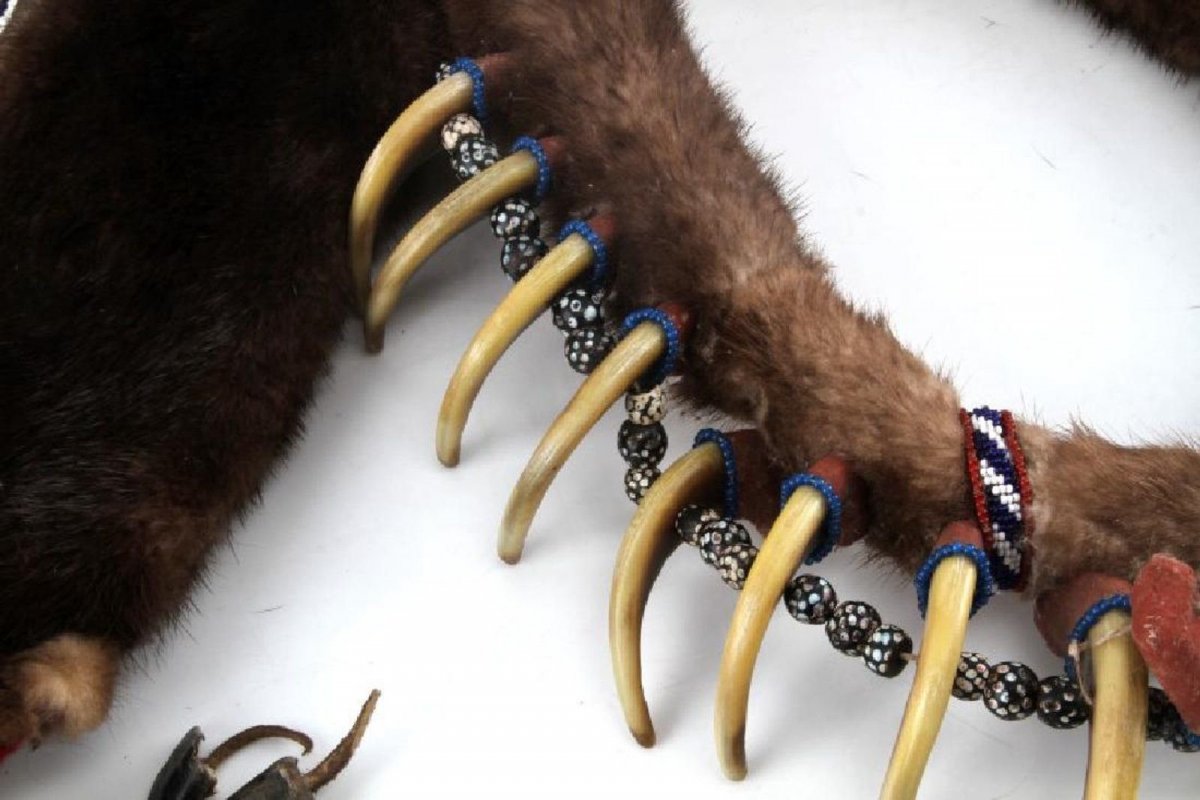 Кенда коготь медведя