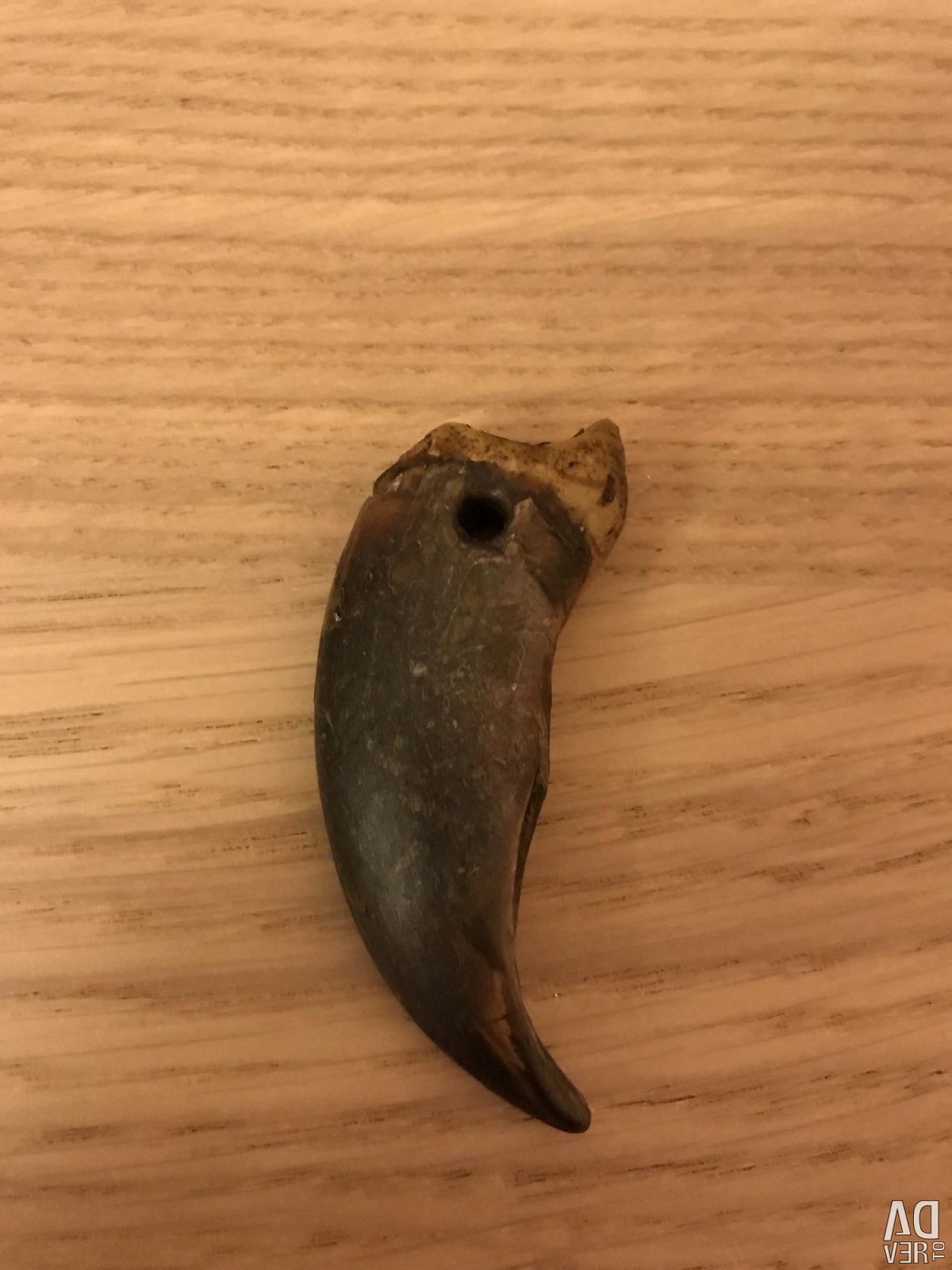 Флешка коготь медведя