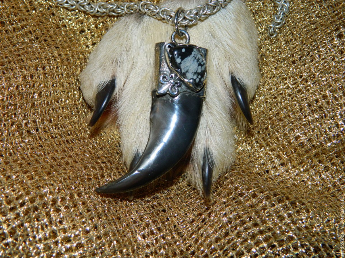 Самый длинный коготь медведя