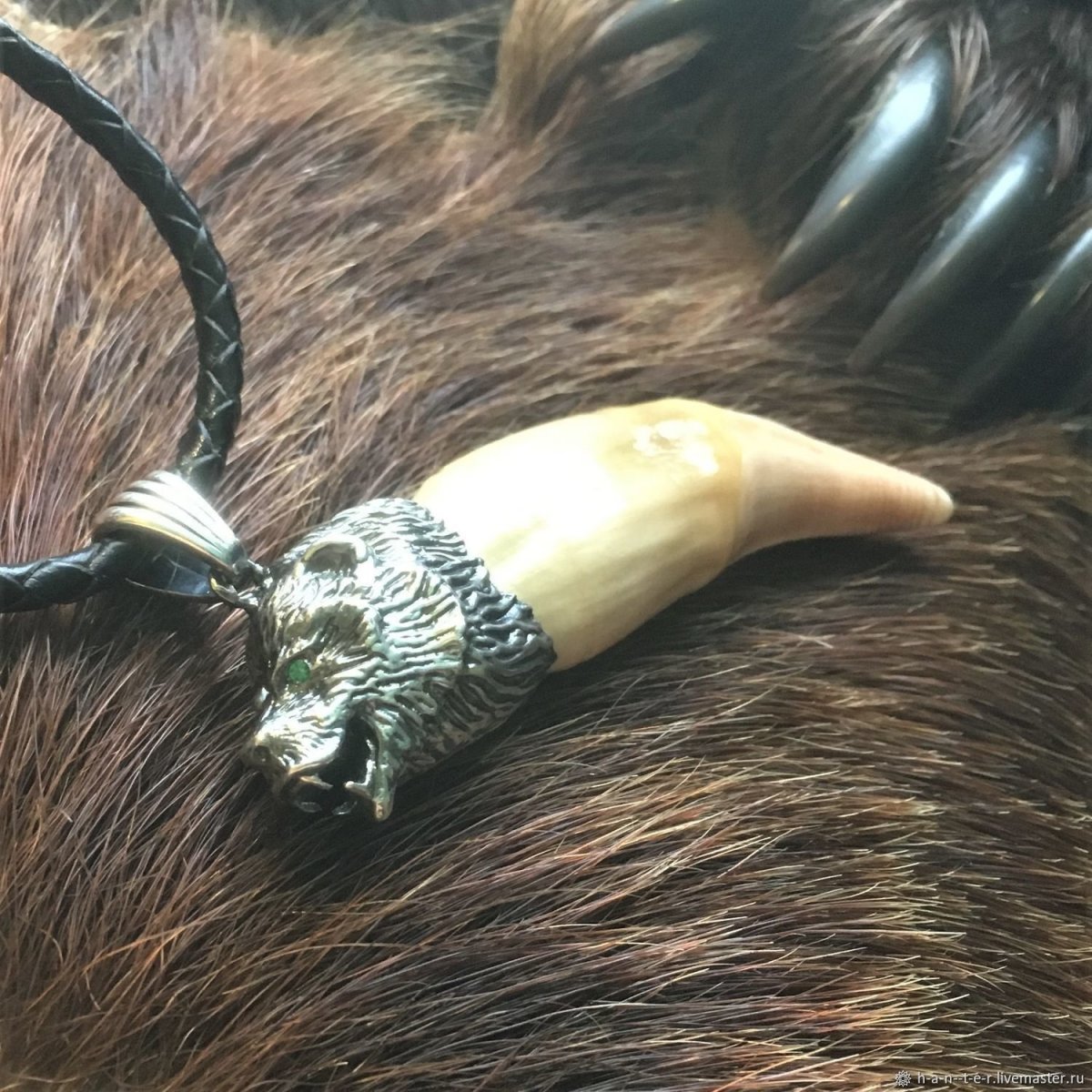 Коготь медведя настоящий необработанный