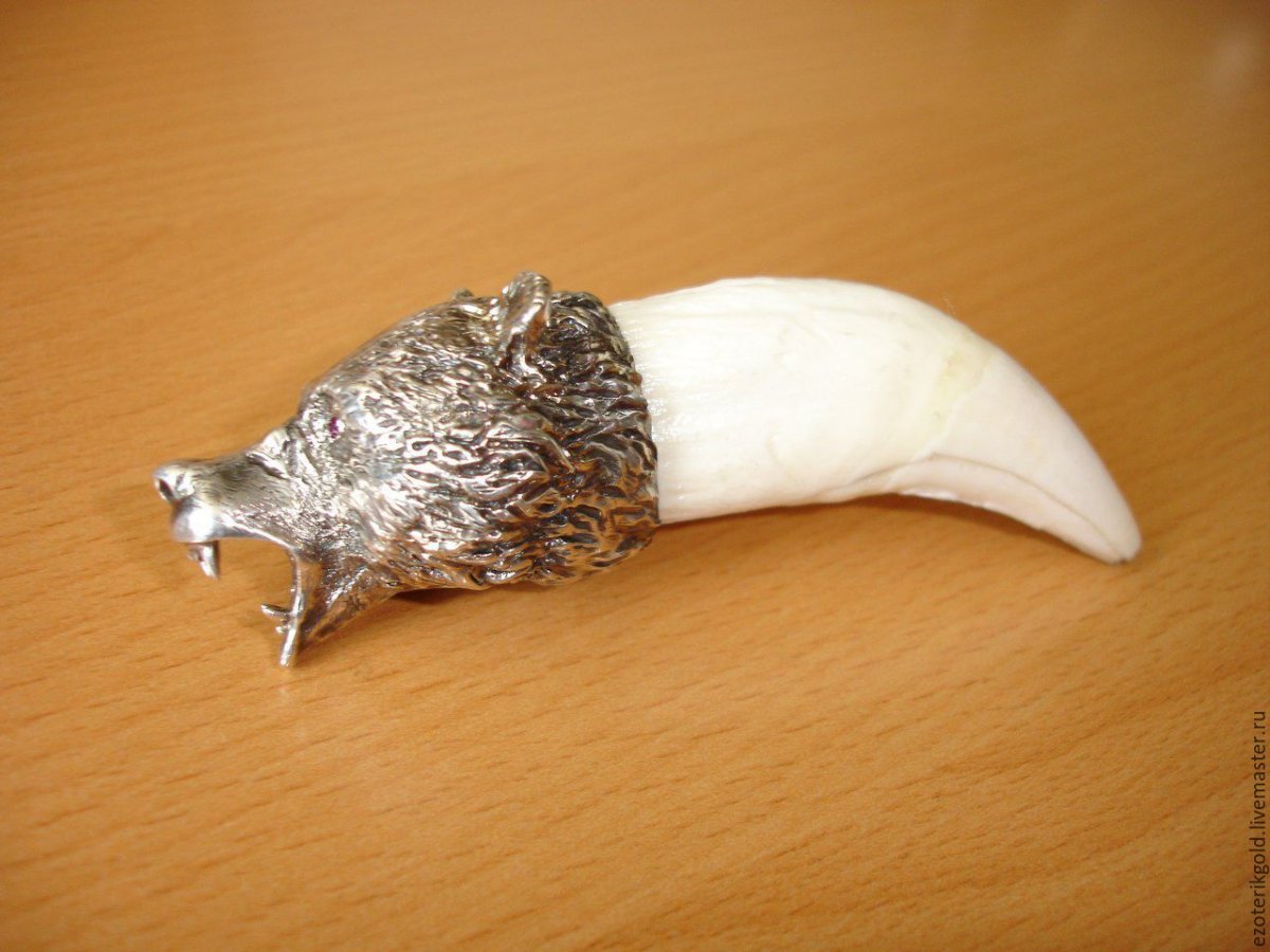 Поделки из когтей медведя