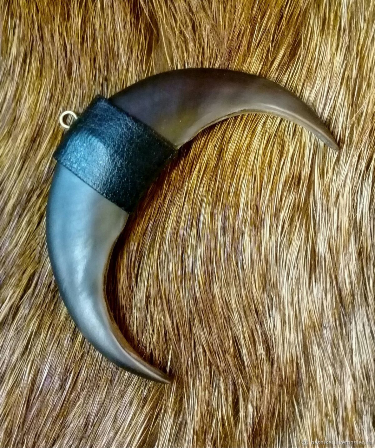 Медвежий клык в серебре