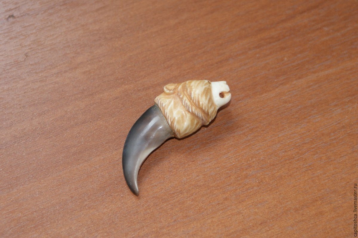 Медвежий коготь амулет