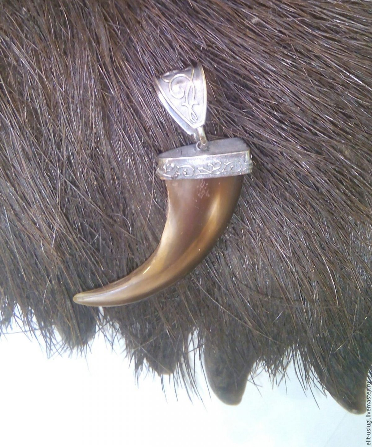 Медвежий коготь Алтай